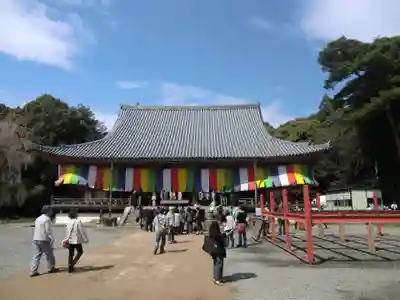醍醐寺(京都府)
