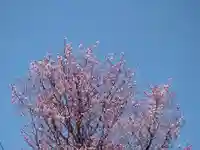 宝光寺(北海道)