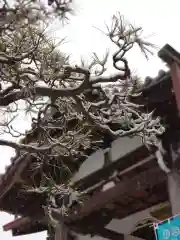 海蔵寺の本殿