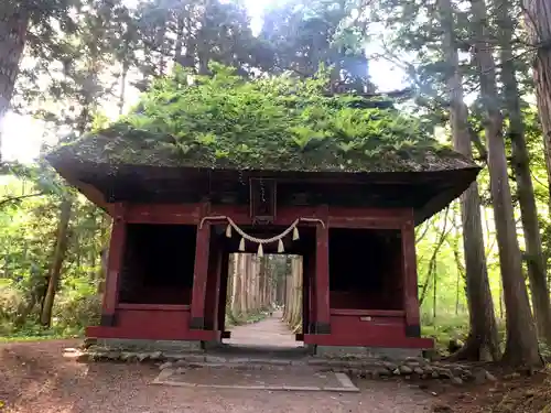 戸隠神社奥社(長野県)