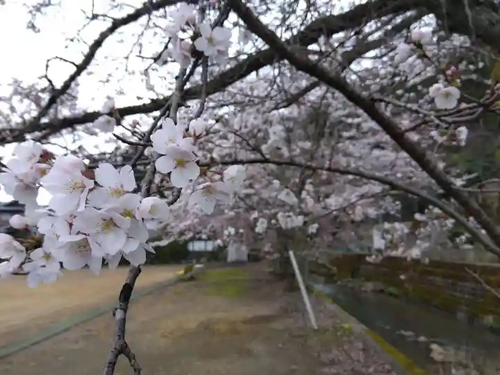 天日神社(福井県)