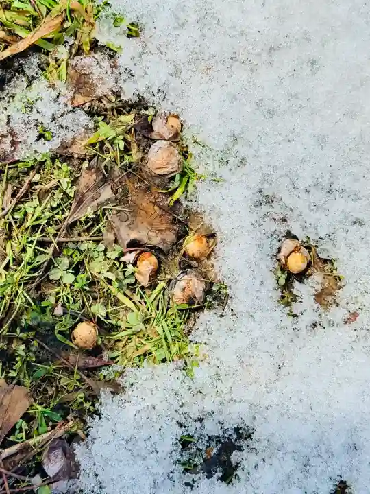 文月地蔵堂の{uncategorized: "未分類", other: "その他", undefined: "問題あり", building: "その他建物", grave: "お墓", sacred_gate: "鳥居", guardian: "狛犬", statue: "像", buddha: "仏像", history: "歴史", nature: "自然", garden: "庭園", animal: "動物", pagoda: "塔", temizu: "手水舎", mountain_gate: "山門・神門", sanctuary: "本殿・本堂", subordinate: "末社・摂社", art: "芸術", scenery: "景色", jizo: "地蔵", ema: "絵馬", goshuin: "御朱印", omikuji: "おみくじ", items: "授与品その他", amulet: "お守り", goshuincho: "御朱印帳", eats: "食事", festival: "お祭り", votive_dance: "神楽", shichigosan: "七五三参", wedding: "結婚式", experience: "体験その他", initially: "初詣", around: "周辺", anti_infection: "感染症対策"}