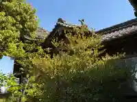 下曽根荒神社の{uncategorized: "未分類", other: "その他", undefined: "問題あり", building: "その他建物", grave: "お墓", sacred_gate: "鳥居", guardian: "狛犬", statue: "像", buddha: "仏像", history: "歴史", nature: "自然", garden: "庭園", animal: "動物", pagoda: "塔", temizu: "手水舎", mountain_gate: "山門・神門", sanctuary: "本殿・本堂", subordinate: "末社・摂社", art: "芸術", scenery: "景色", jizo: "地蔵", ema: "絵馬", goshuin: "御朱印", omikuji: "おみくじ", items: "授与品その他", amulet: "お守り", goshuincho: "御朱印帳", eats: "食事", festival: "お祭り", votive_dance: "神楽", shichigosan: "七五三参", wedding: "結婚式", experience: "体験その他", initially: "初詣", around: "周辺", anti_infection: "感染症対策"}