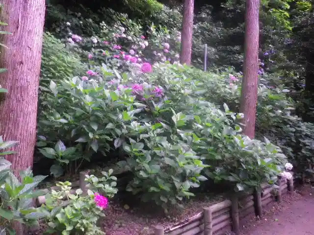 御霊神社の自然