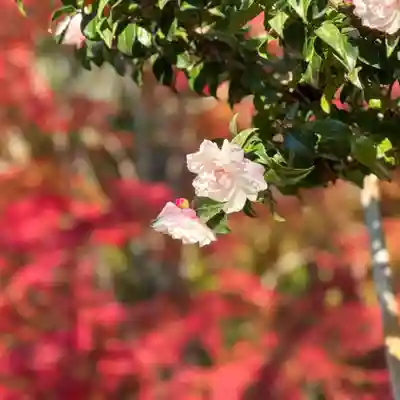 伊勢の国 四天王寺(三重県)
