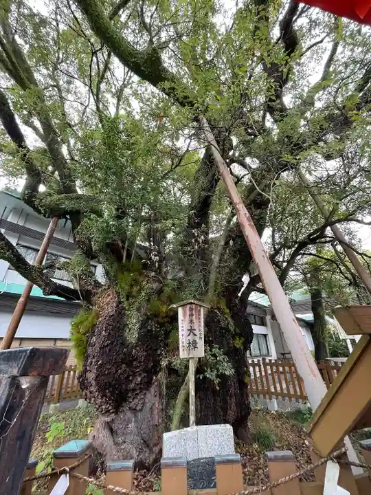 富知六所浅間神社(静岡県)