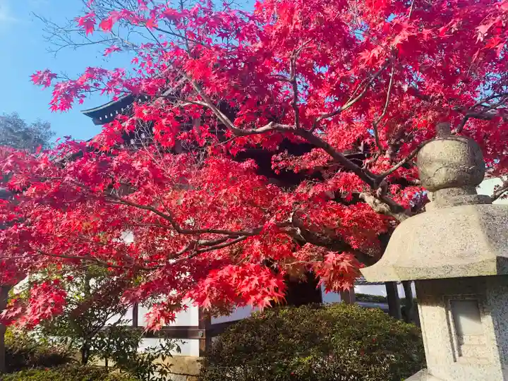 明王院(岡山県)