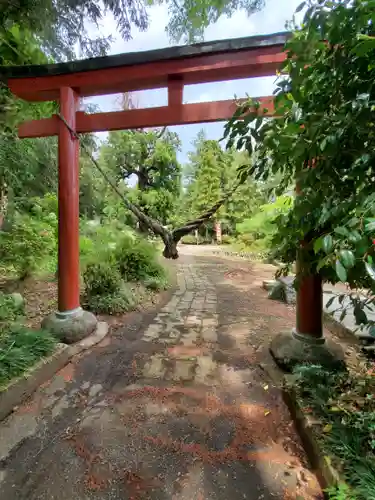 小川温泉神社の鳥居
