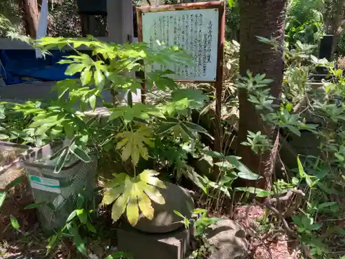 光明寺(神奈川県)
