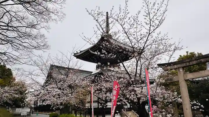 本法寺(京都府)