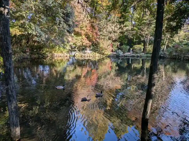富士山本宮浅間大社(静岡県)