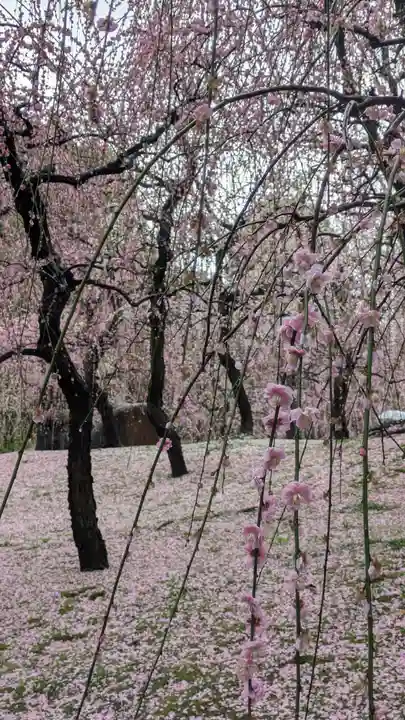 城南宮(京都府)