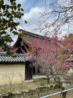 梅宮大社(京都府)