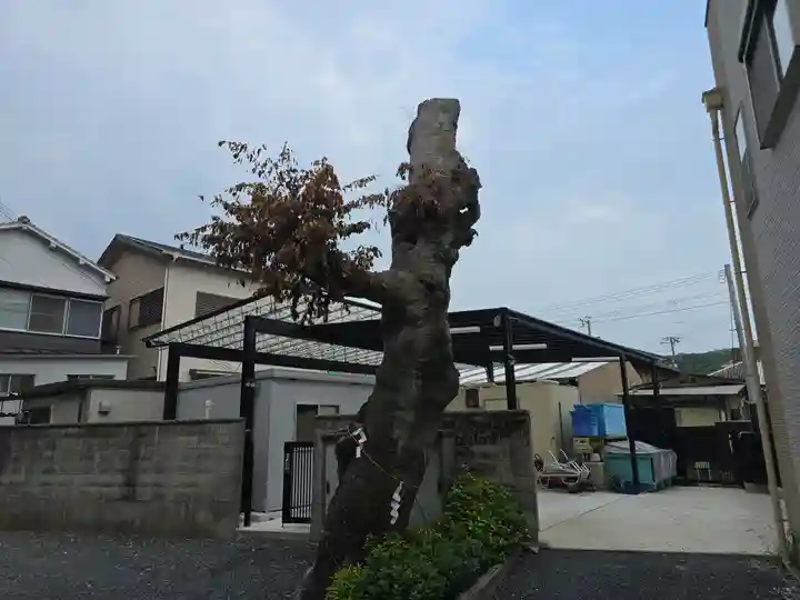 恵比須神社(兵庫県)