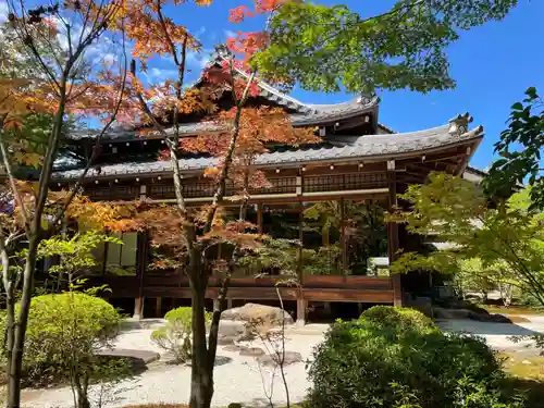 天授庵(京都府)