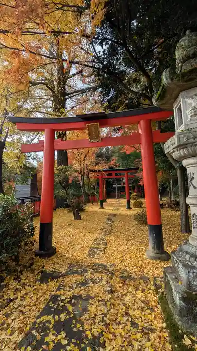 観音寺(山崎聖天)(京都府)