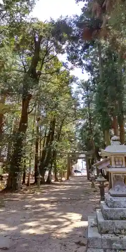 比良天満宮・樹下神社(滋賀県)