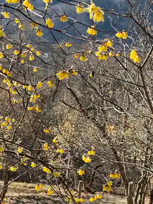 宝登山神社奥宮(埼玉県)