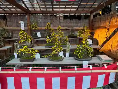 諏訪大社下社秋宮(長野県)