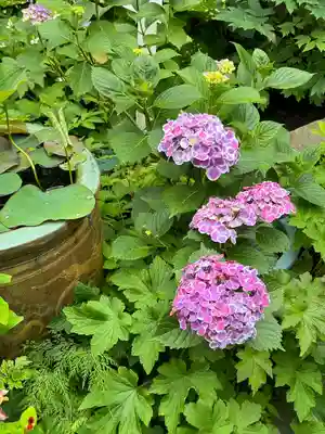 松嶺院(神奈川県)