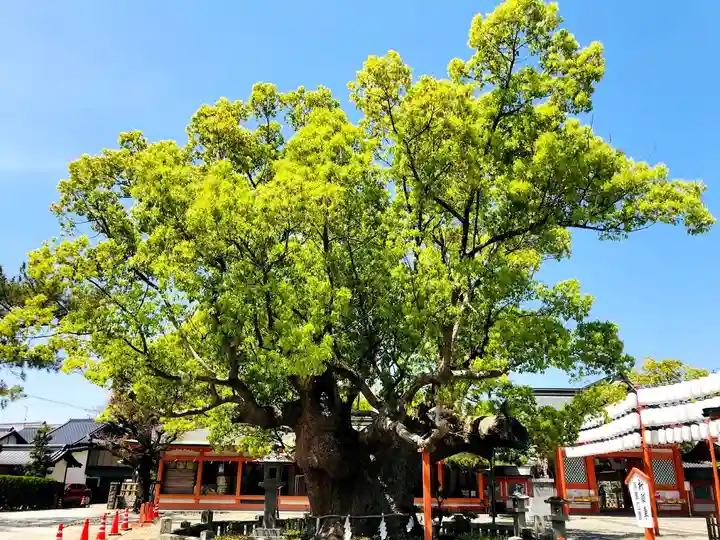 風浪宮のその他建物