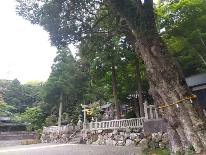 佐伎治神社(福井県)