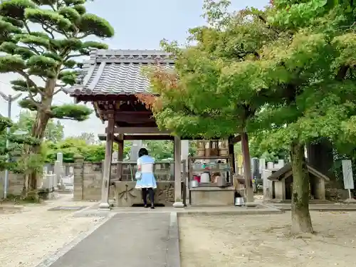 海上山 安養寺の手水