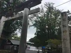 闘鶏神社の鳥居