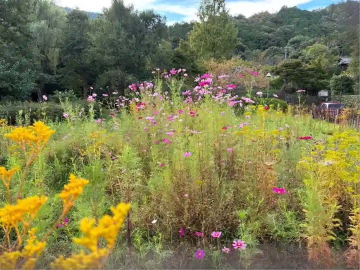 御髪神社(京都府)
