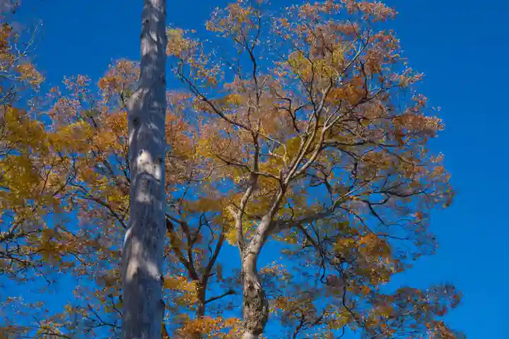達屋酢蔵神社(長野県)