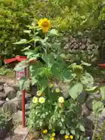 大船観音寺(神奈川県)