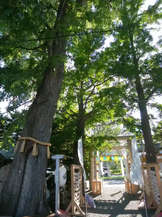 札幌諏訪神社のその他建物