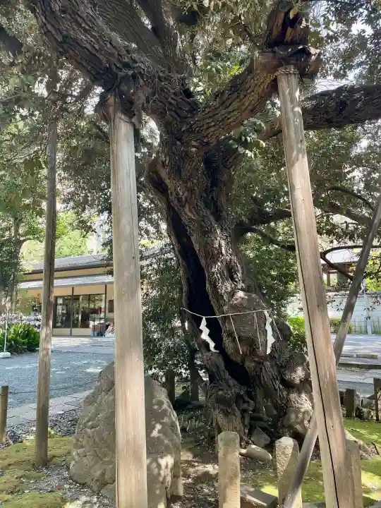 金王八幡宮の{uncategorized: "未分類", other: "その他", undefined: "問題あり", building: "その他建物", grave: "お墓", sacred_gate: "鳥居", guardian: "狛犬", statue: "像", buddha: "仏像", history: "歴史", nature: "自然", garden: "庭園", animal: "動物", pagoda: "塔", temizu: "手水舎", mountain_gate: "山門・神門", sanctuary: "本殿・本堂", subordinate: "末社・摂社", art: "芸術", scenery: "景色", jizo: "地蔵", ema: "絵馬", goshuin: "御朱印", omikuji: "おみくじ", items: "授与品その他", amulet: "お守り", goshuincho: "御朱印帳", eats: "食事", festival: "お祭り", votive_dance: "神楽", shichigosan: "七五三参", wedding: "結婚式", experience: "体験その他", initially: "初詣", around: "周辺", anti_infection: "感染症対策"}