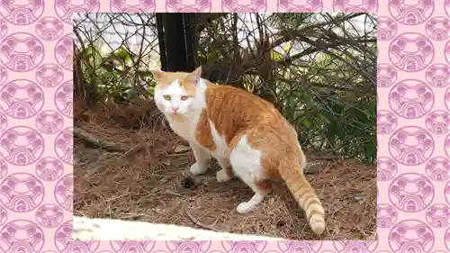 厳島神社(広島県)