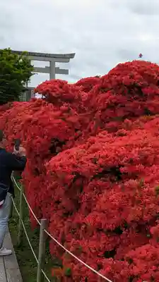 長岡天満宮(京都府)