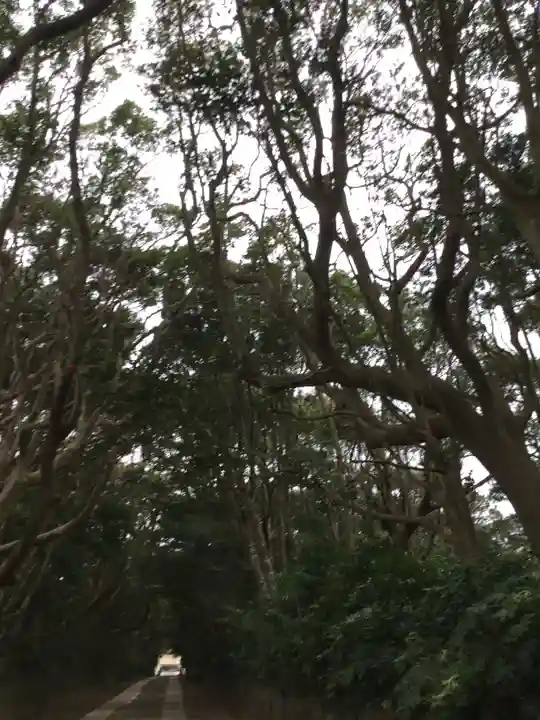 酒列磯前神社の自然