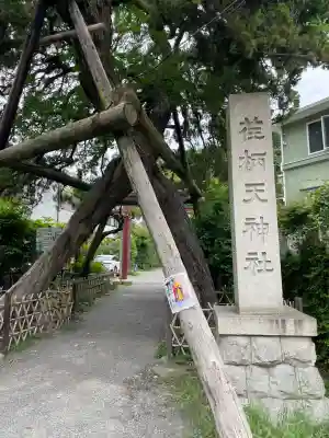 荏柄天神社(神奈川県)