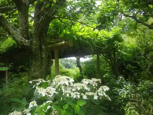 瑞泉寺の庭園