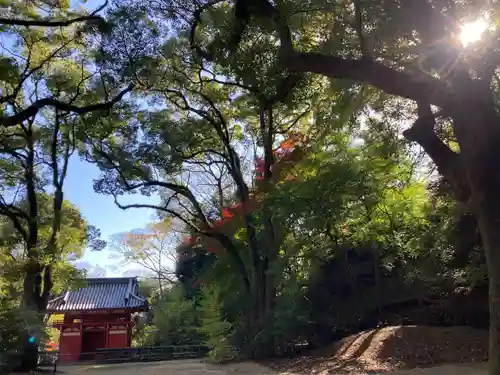 徳光院の山門