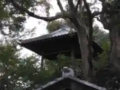 大正寺(埼玉県)