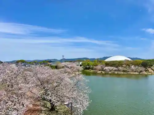 駕輿八幡宮(福岡県)
