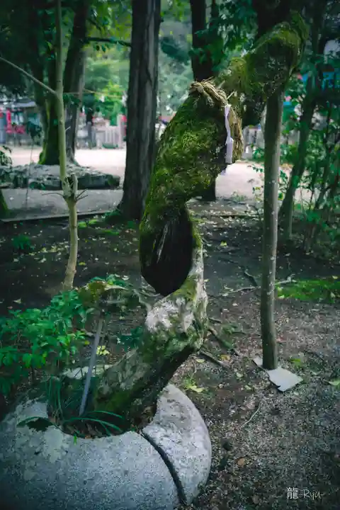 大和神社(奈良県)