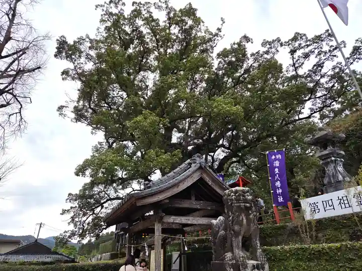 蒲生八幡神社(鹿児島県)