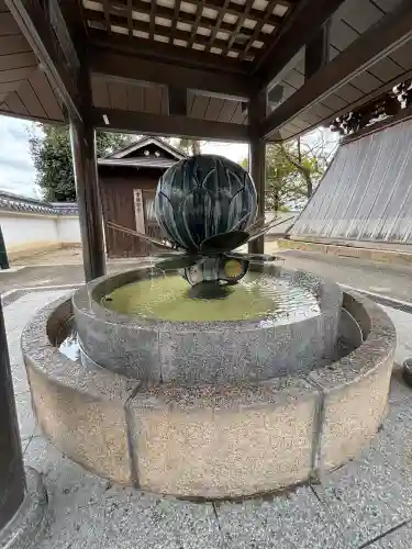 中山寺の{uncategorized: "未分類", other: "その他", undefined: "問題あり", building: "その他建物", grave: "お墓", sacred_gate: "鳥居", guardian: "狛犬", statue: "像", buddha: "仏像", history: "歴史", nature: "自然", garden: "庭園", animal: "動物", pagoda: "塔", temizu: "手水舎", mountain_gate: "山門・神門", sanctuary: "本殿・本堂", subordinate: "末社・摂社", art: "芸術", scenery: "景色", jizo: "地蔵", ema: "絵馬", goshuin: "御朱印", omikuji: "おみくじ", items: "授与品その他", amulet: "お守り", goshuincho: "御朱印帳", eats: "食事", festival: "お祭り", votive_dance: "神楽", shichigosan: "七五三参", wedding: "結婚式", experience: "体験その他", initially: "初詣", around: "周辺", anti_infection: "感染症対策"}