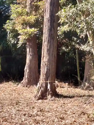 下溝八幡宮(神奈川県)