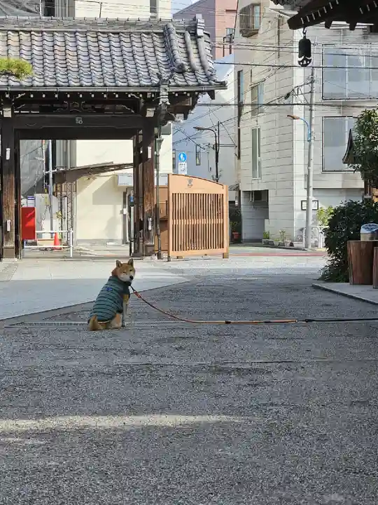 感通寺(東京都)