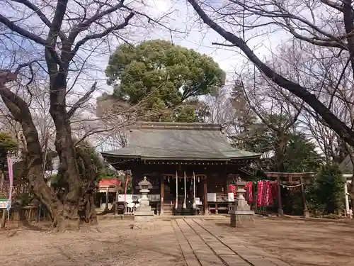 敷島神社の本殿・本堂