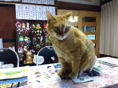 龍岳院(愛知県)