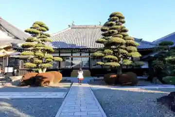 法住寺の本殿・本堂