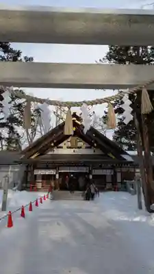 新琴似神社の鳥居